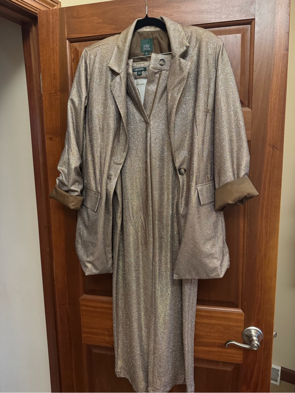 wild fable Shimmery Champagne Blazer and Pants